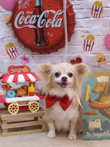 20230918チャッピーちゃん